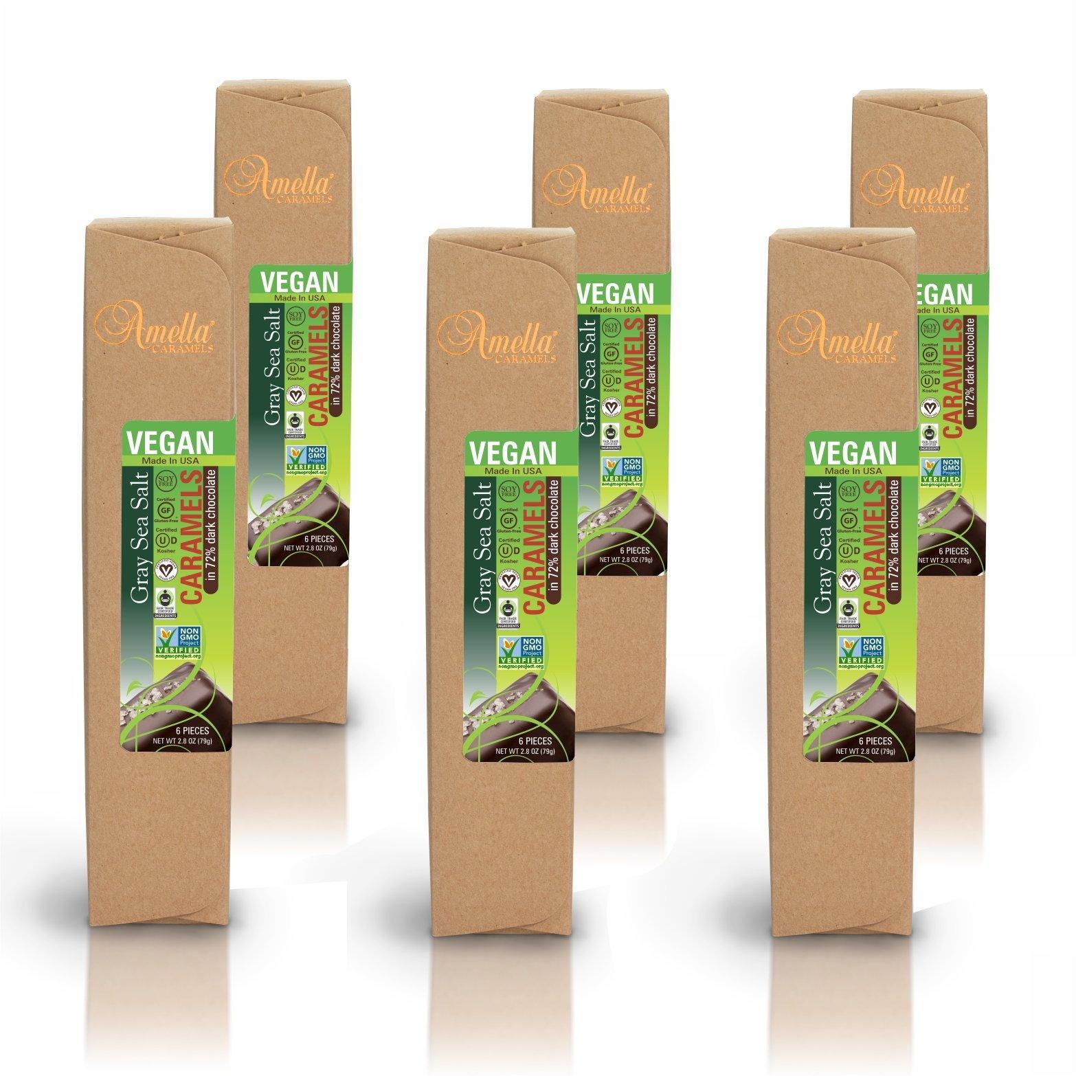 Vegan Gray Salt Caramels in 72% Dark Chocolate, 16.8 ounces (6 packs - 6 pcs/pack)