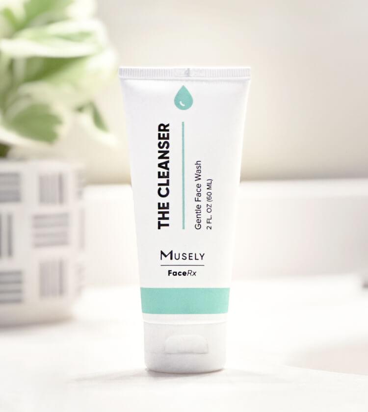 The Cleanser