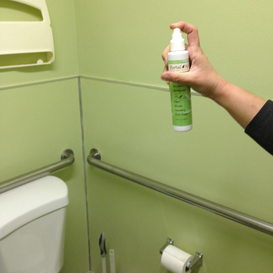 Natural Odor Eliminator Spray - image 3