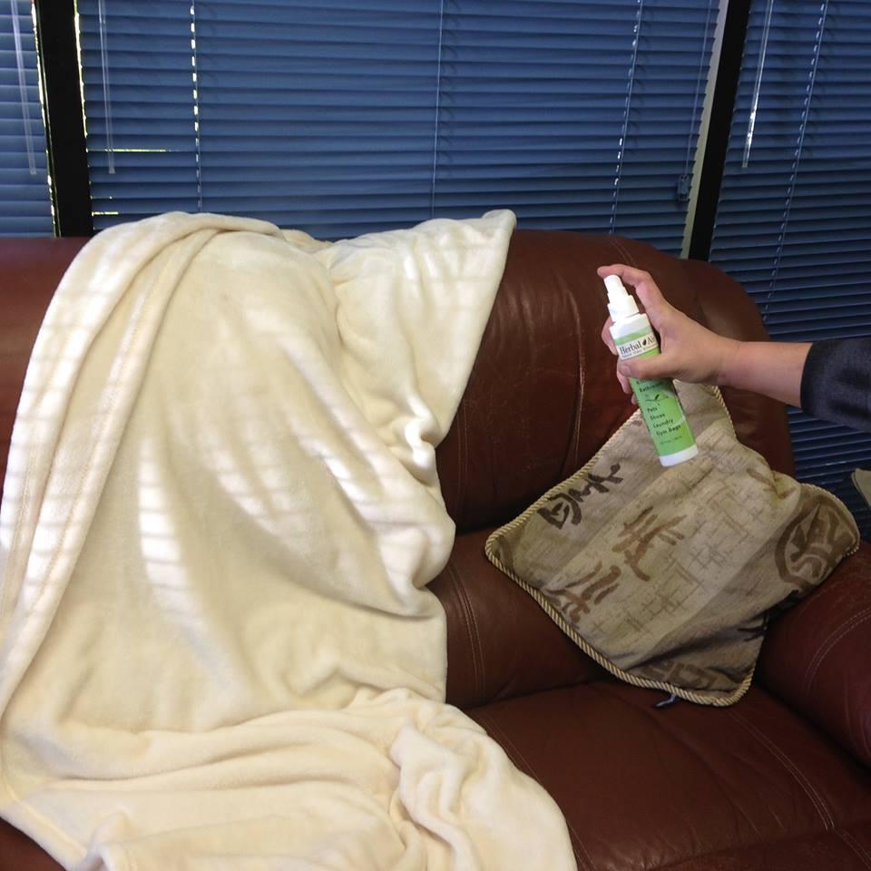 Natural Odor Eliminator Spray - image 2