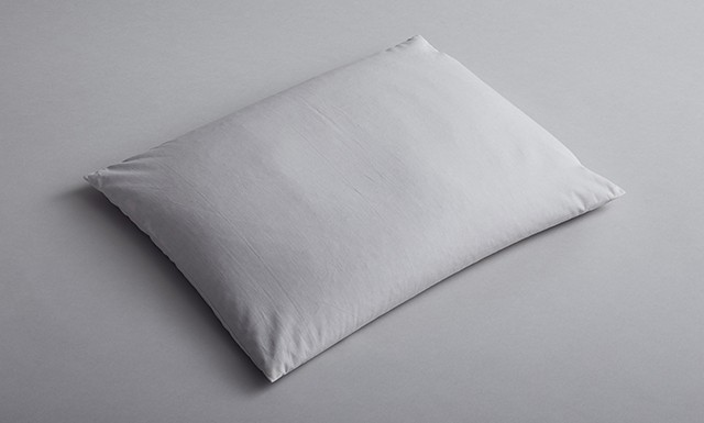 Slumbr Ara Buckwheat Pillow