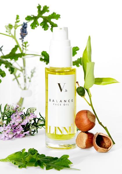 BALANCE - image 2