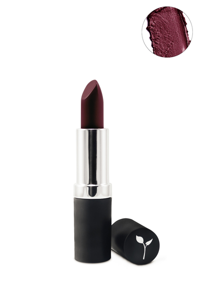 Matte Lipstick - Fashionista