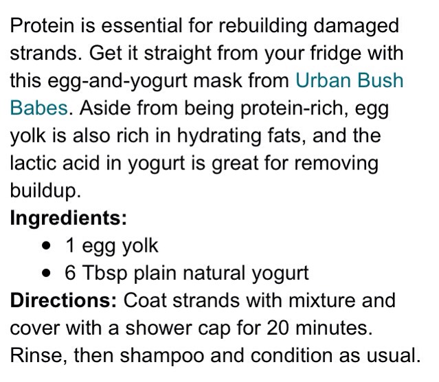 ✨Homemade Hair Treatment (Protein Primer)✨
