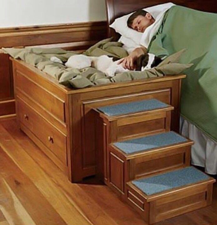 30. Raised bedside dog bed