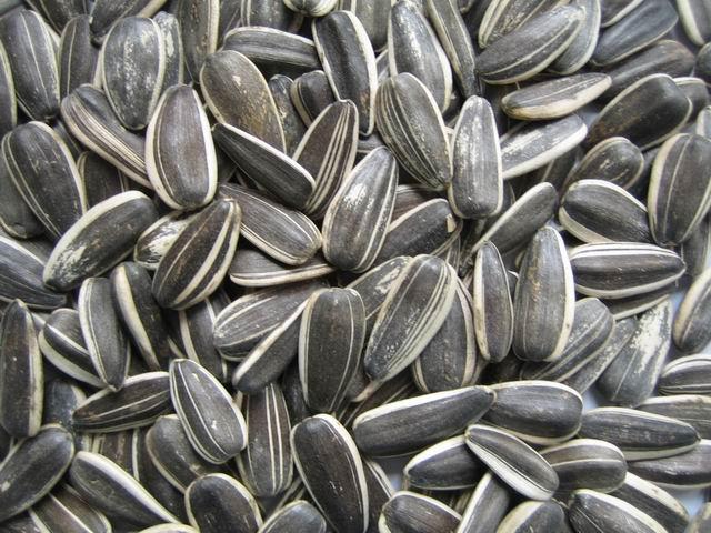 8. Sunflower Seeds
This snack usually seen being consumed on the baseball diamond is actually a great source of minerals like magnesium, and vitamins like Biotin. Try to eat them raw so that you’re not getting the added fat and calories that come with dry roasted sunflower seeds.