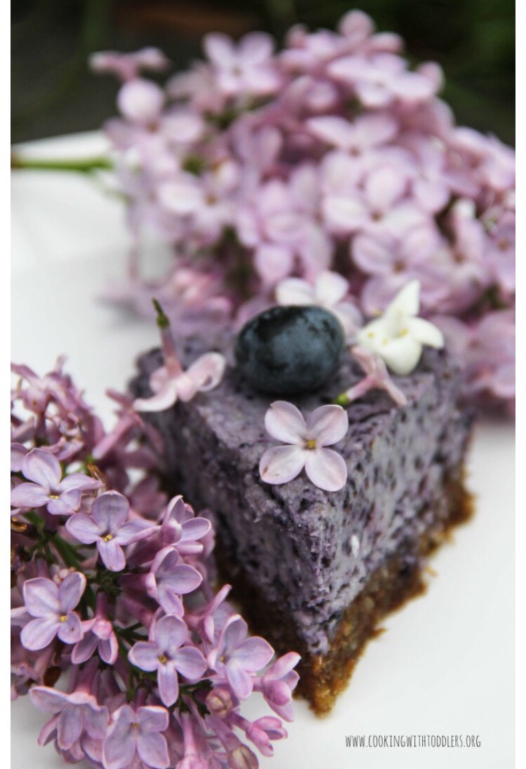 Blueberry Chia Seed Cashew Cake
Super Healthy And Super Tasty Cake πππ½ππ½