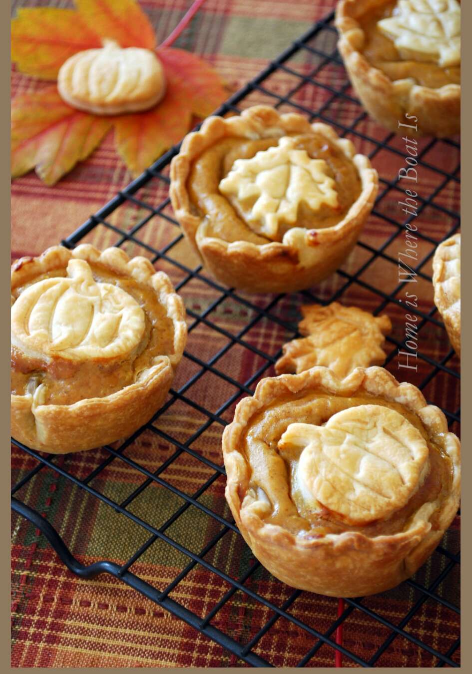 Mini Pumpkin Pies!!!