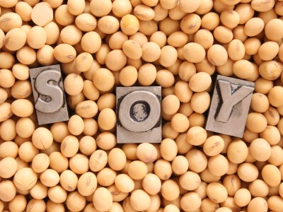 Soy is considered to be a super food by many, as it contains a high amount of isoflavones and is known to help get rid of free radicals and cancer cells that could lead to larger breast tissues