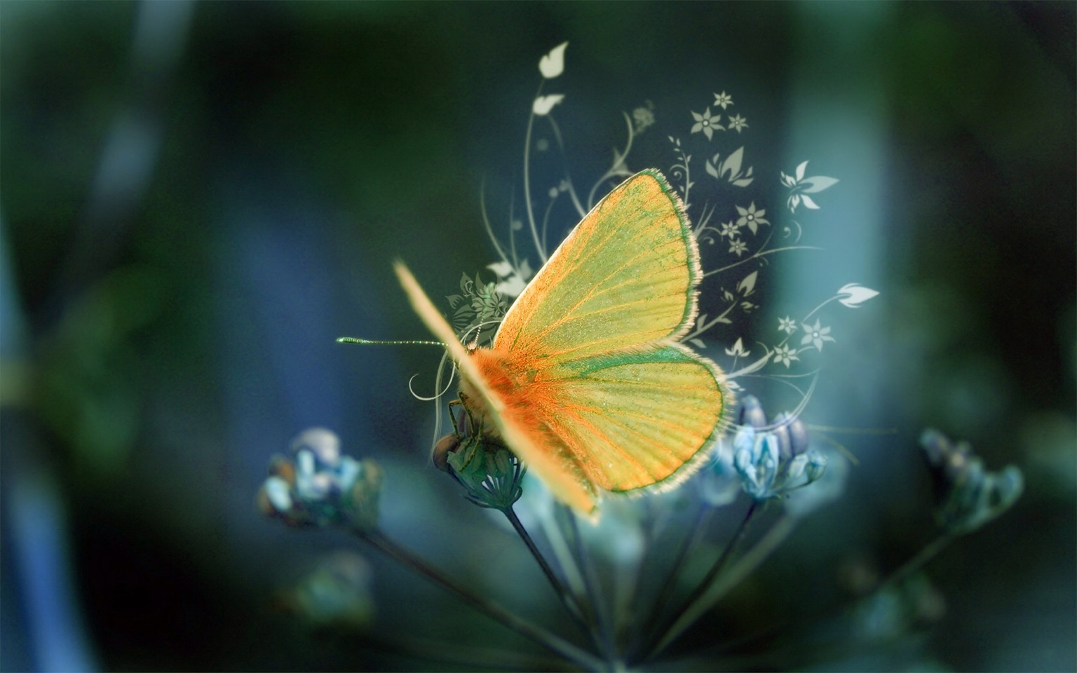 Beautiful Photography