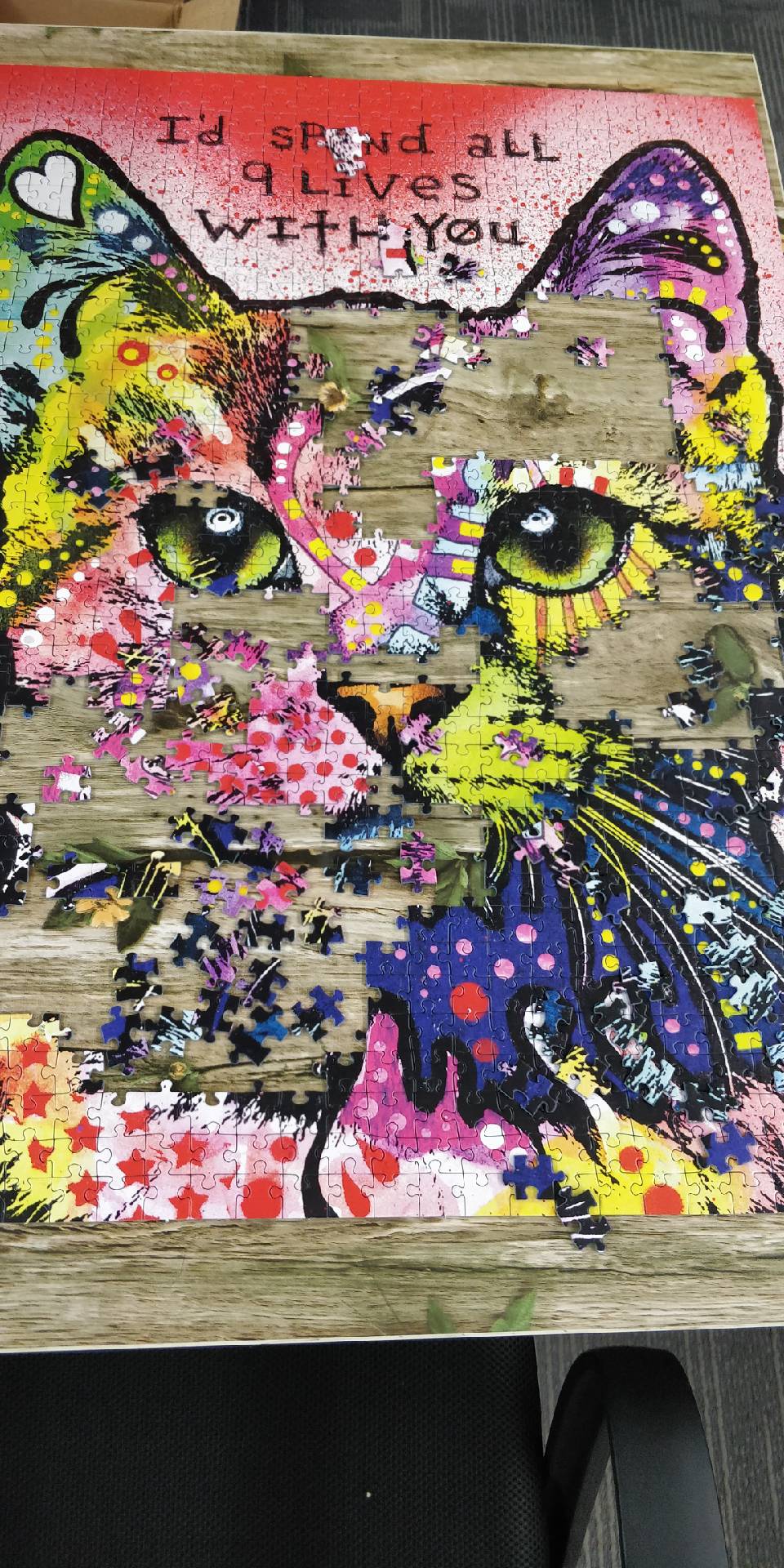 cats 9