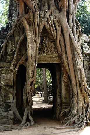Angkor Wat, Cambodia 