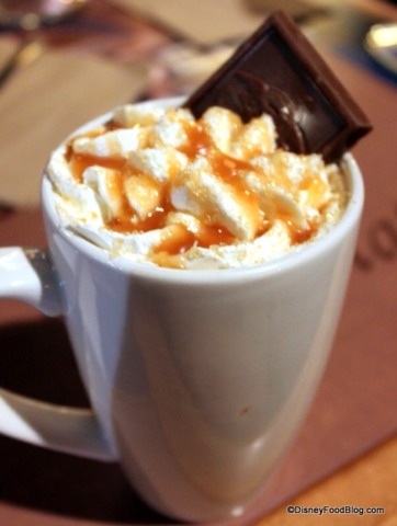 Ever had those days when you just want something salty and sweet together? I feel you. Well here's the solution to it! A simple Salted caramel hot chocolate!!! YUM →→→→→→