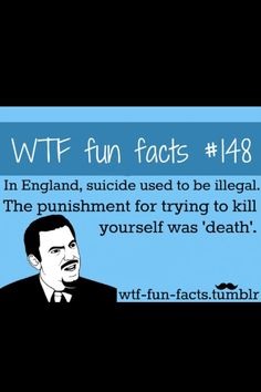 Fun Facts
