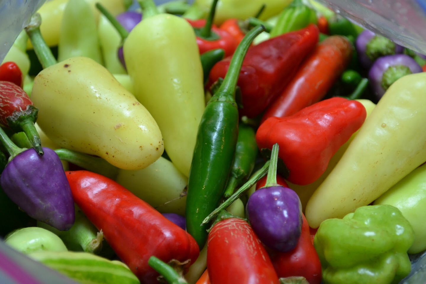 Yoghurt, almonds, spicy food and cherries are fat burners.