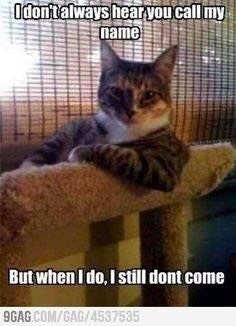 Hope this made you smile!