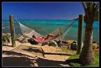 Hammocks improve sleep quality and help you fall asleep faster.