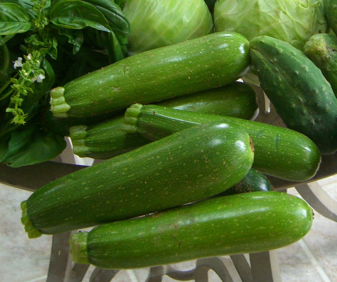8. Zucchini

Genetically modified zucchini contains a toxic protein that helps make it more resistant to insects. This introduced insecticide, has recently been found in human blood, including that of pregnant women and fetuses. 