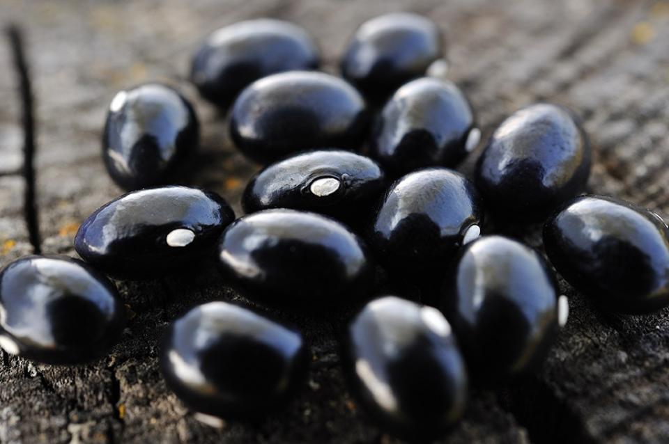 Healthy Habit #5: Eat the magical beans, Jack There are diet pills on the market that actually work. They’re called beans. Researchers suggest beans, as they’re particularly rich in soluble fiber, can lessen the accumulation of abdominal fat deposits.