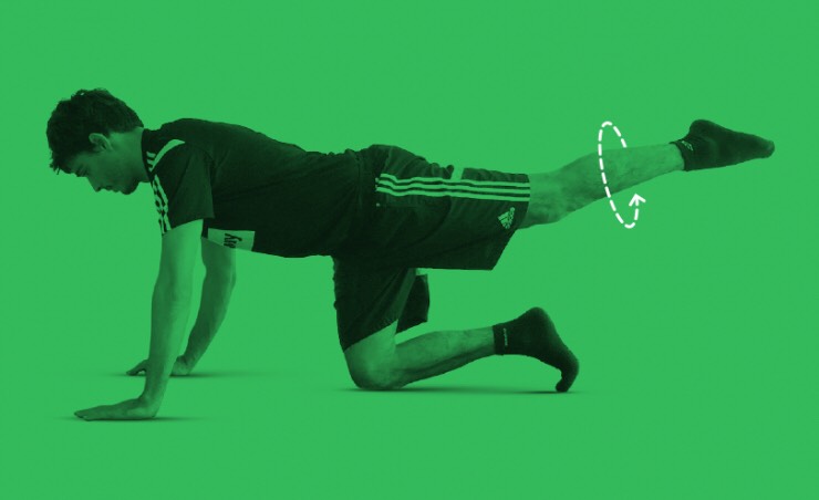 20 circular leg raises (each side)