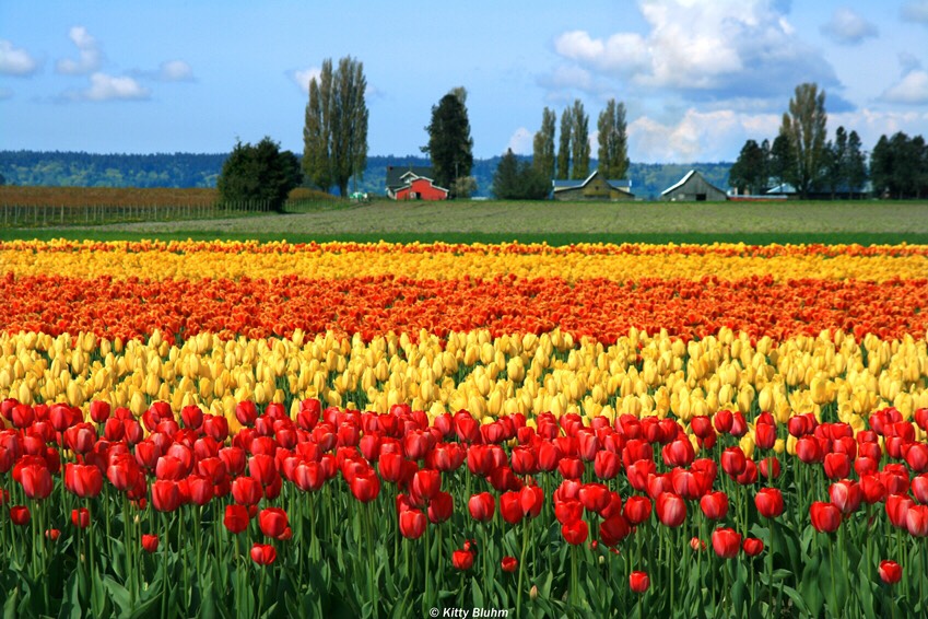 Top 10 Places In The USA To Visit 
