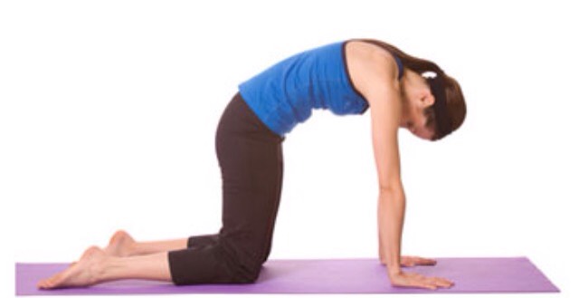 Cat Pose
- I recommend you do this pose for 10 sec