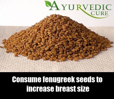 Herbs For Breast Enlargement