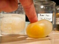 Science Project-Glowy Egg