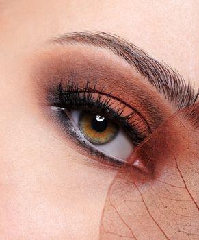 Hazel eyed people are those who will say “challenge accepted” as soon as they see one. They will never back down from a fight and prove that they are the best. They are sweet, empathetic and kind people as long as the things turn out as they want. They are generally outgoing people and adventurous.