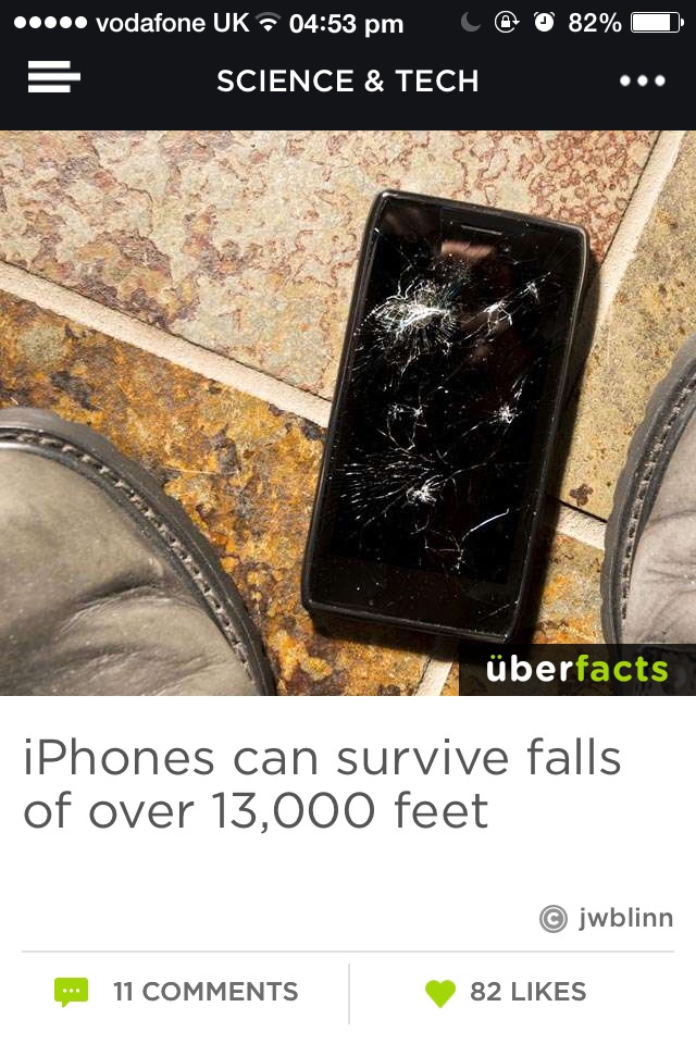 Fun Facts😜