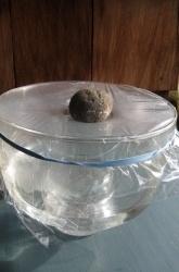 You can clean dirty water with a stone and sunlight.
It will also de-salt water. A pinner says: “I have done this and it really does work!”