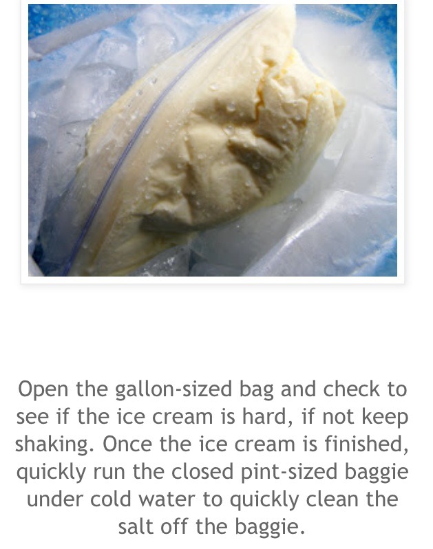 Homemade Ice cream In A Baggie!!