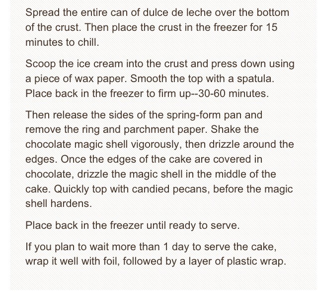 Turtle-pumpkin Ice Cream Cake!!! Delicious...