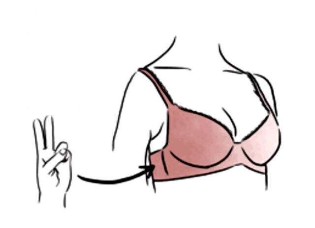 Getting a bra that is the right size for you is important not only for how you look, but also for your health and well-being. A lot of women have trouble figuring out which bra size is right for them. A simple trick is to put two fingers under the band. If they can't fit comfortably, then it's small
