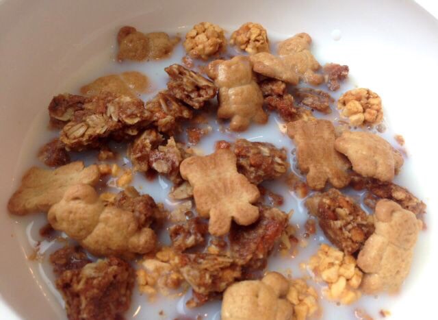 First, crush your granola bar to your liking.
Then, add the apple crumbles, teddy Grahams, and pour milk accordingly.
Enjoy!