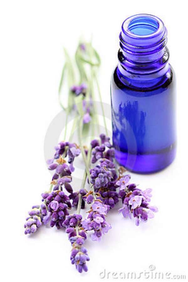 🔮 Add 4 oz. of olive oil and about 20 drops of lavender essential oil to the pot once the wax and shea butter have melted completely. You may use more or less of the essential oil as desired for more or less potency, it's entirely up to you. 🙊