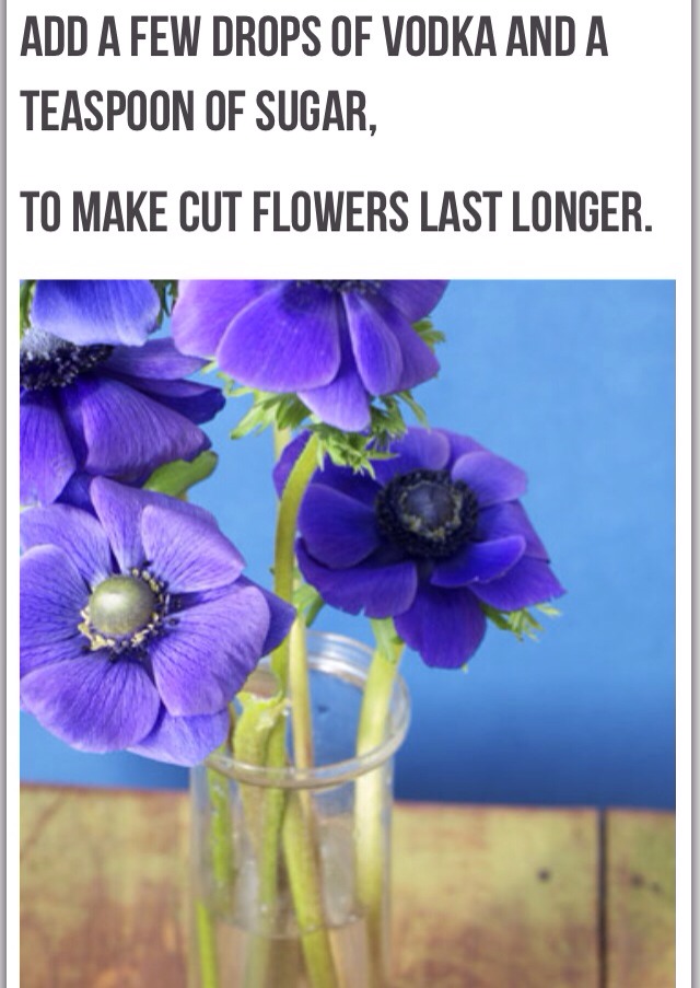 32 Ideas Of Life Changing Ways To Use Ordinary, Everyday Objects.