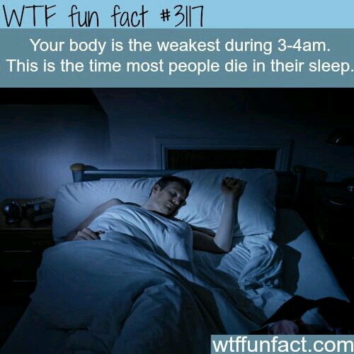 Cool Sleep Facts!