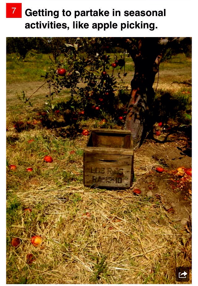 24 Reasons To Love 🎃ctober
