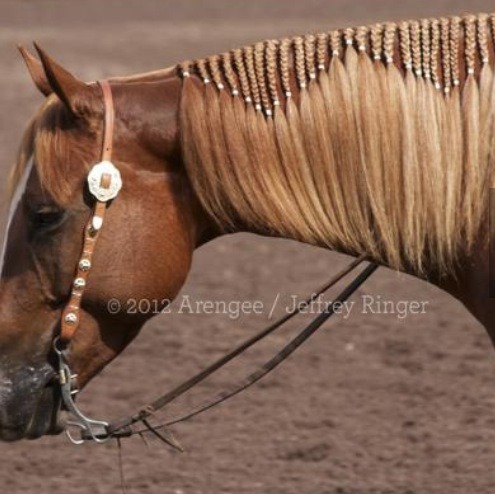 Horse Braids! 