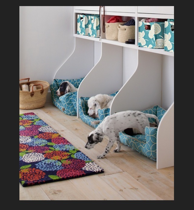 Tips For Dog Owners