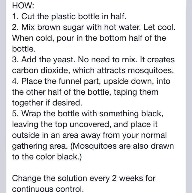 Homemade Mosquito Trap