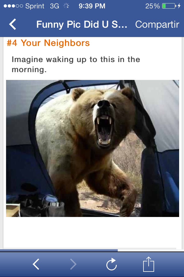 Reasons To Never Go Camping Again !!!!