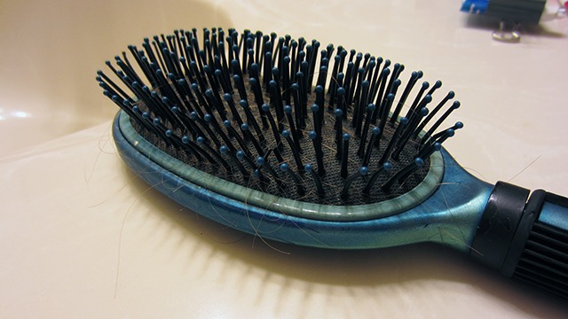 (and whatever other gunk your hairbrush collects) will come off with it. You can also soak in baking soda for extra freshness 