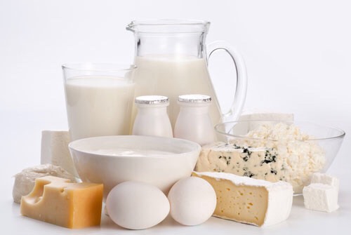 dairy products are full of calcium which has been known as an aid to weight loss 