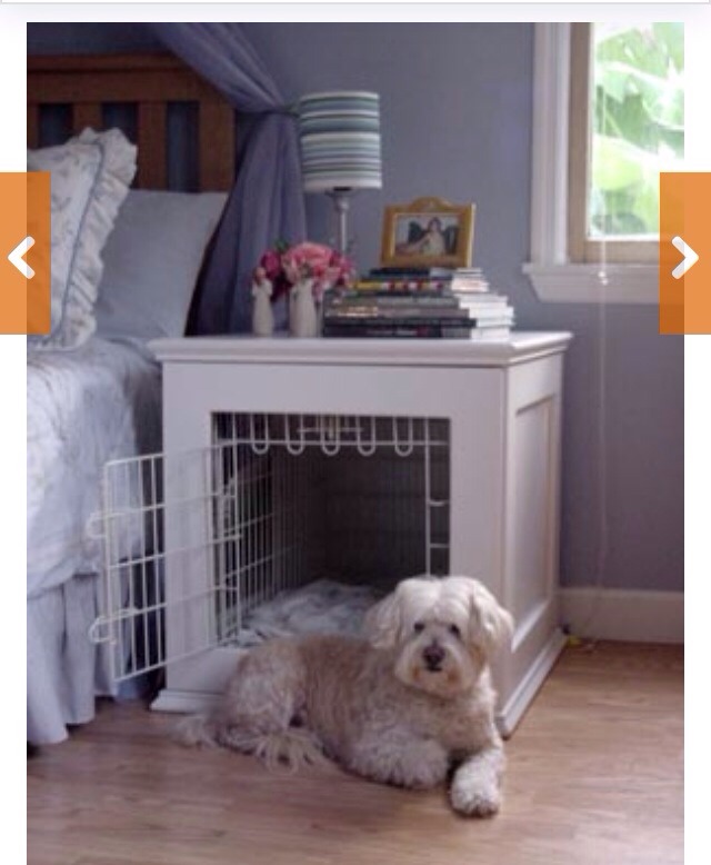 🌟 Creative Dog Bed Ideas You And Furry Friend Wld Love! 🌟