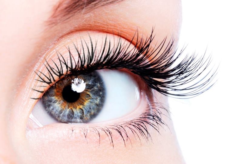 1. Coat lashes in it everyday day to grow them.