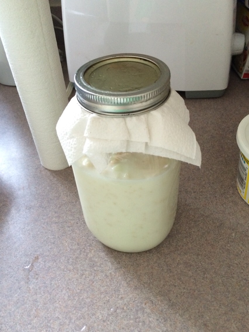 Step 4: This is what it will look like when sealed. After you seal it you have two options. 

One- place your jar on top of the fridge or somewhere safe and let it sit for 12-48 hours. (I always let mine sit for 24 hours and sometimes a little bit more)