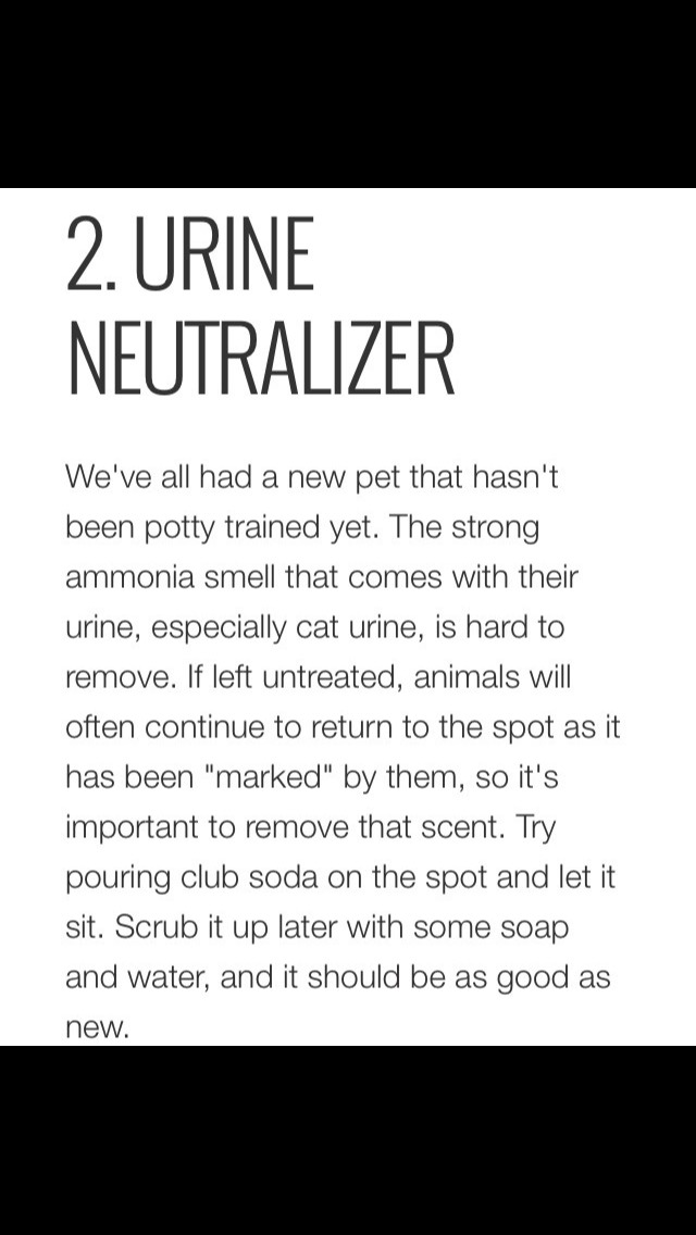 7 House Cleaning Tips You Need To Know