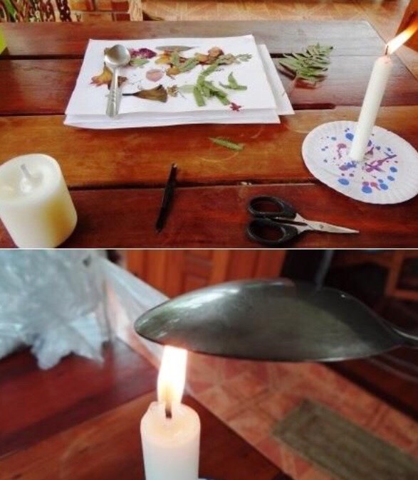 DIYS Flower Candle